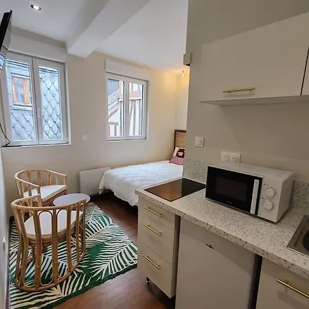 Apartment Le Petit Ecureuil Hypercentre Rouen