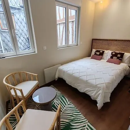 Le Petit Ecureuil Hypercentre Apartment Rouen