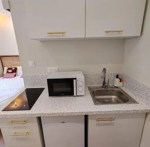 Apartment Le Petit Ecureuil Hypercentre