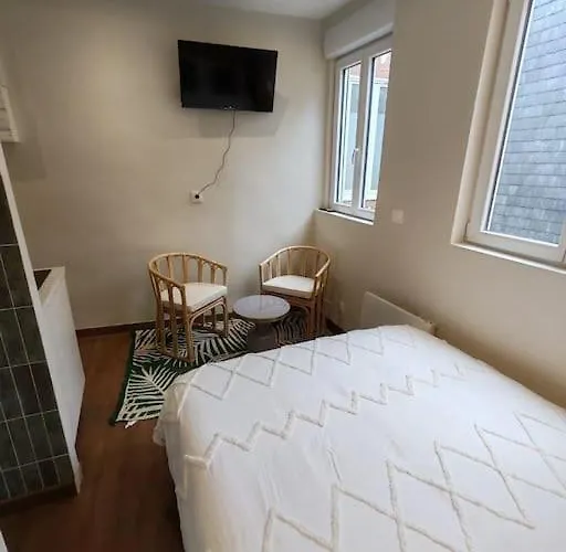 Le Petit Ecureuil Hypercentre Apartment Rouen